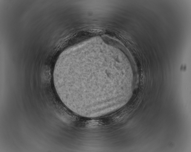 X0000088870320200706291546