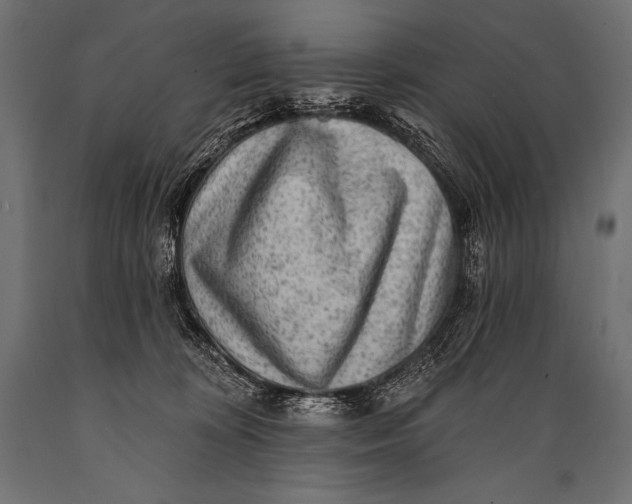 X0000088870324200706291546