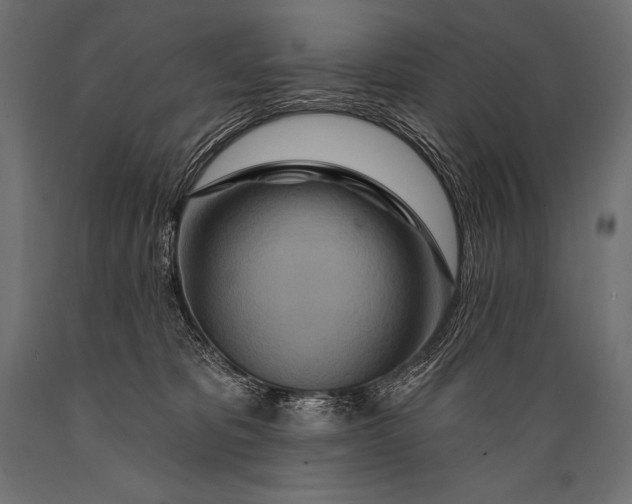 X0000088870325200706291546