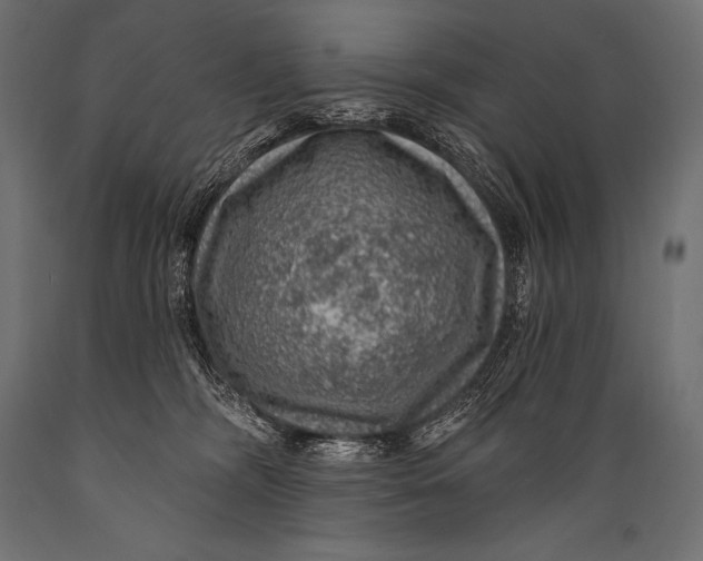 X0000088870326200706291546