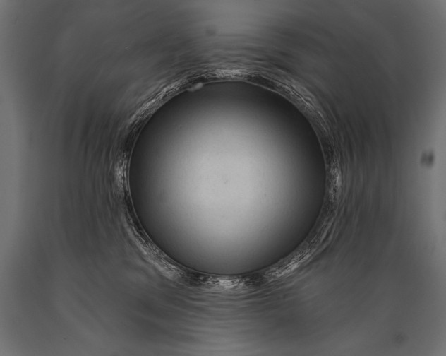 X0000088870329200706291546