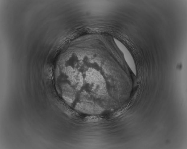 X0000088870331200706291546