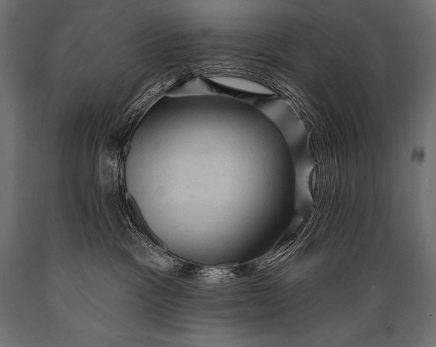 X0000088870333200706291546