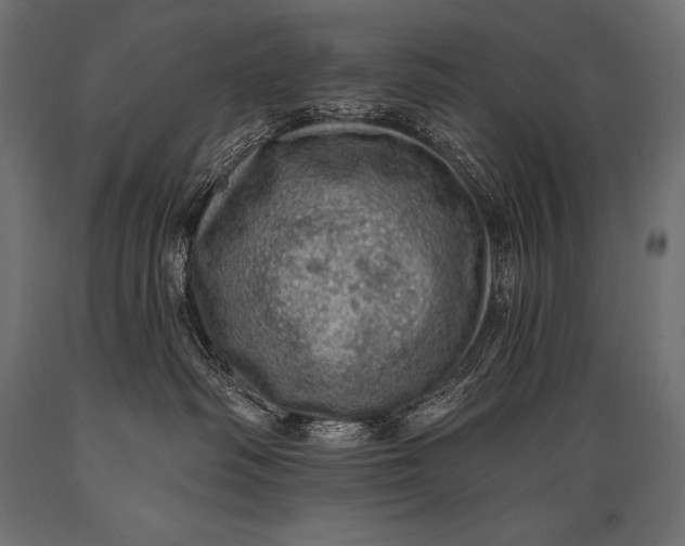 X0000088870334200706291546