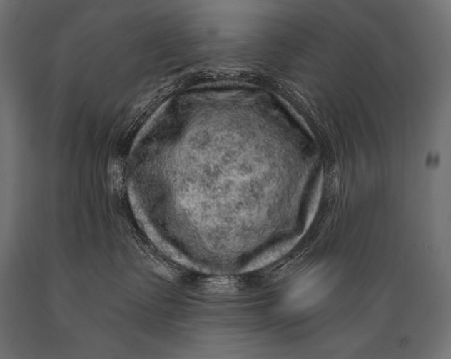 X0000088870335200706291546
