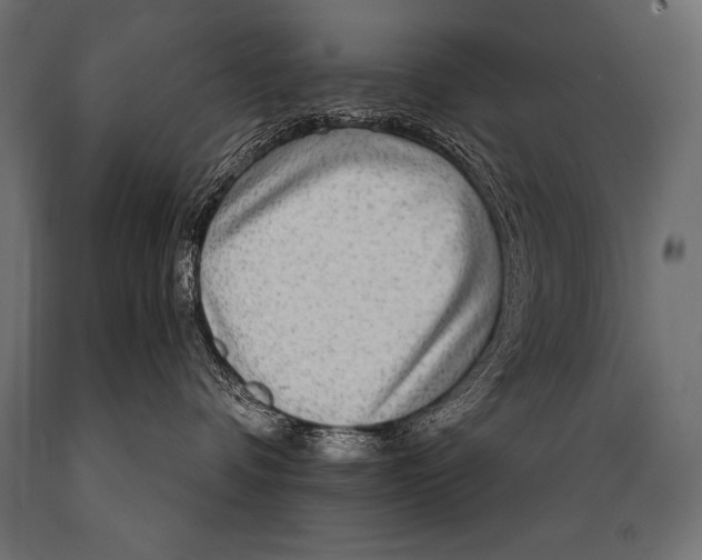 X0000088870336200706291546