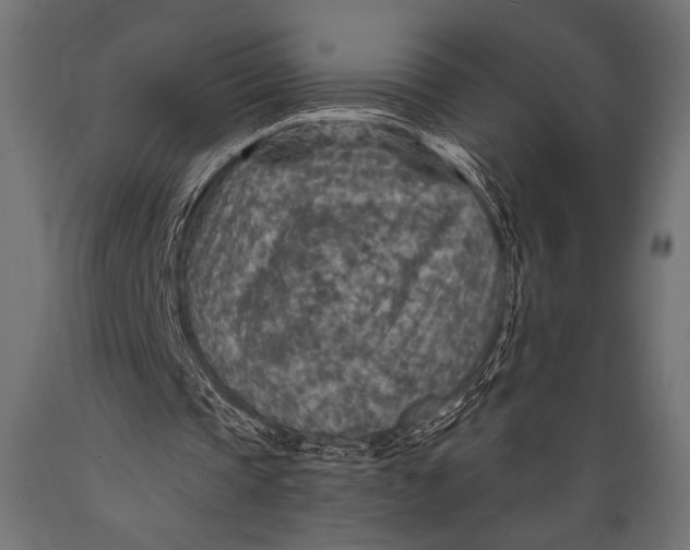 X0000088870337200706291545