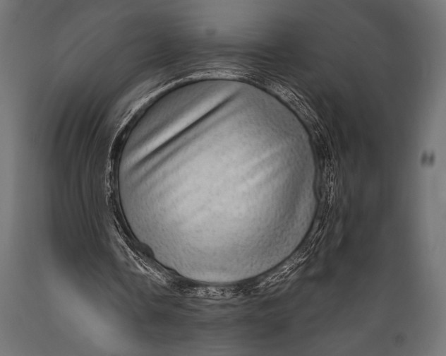 X0000088870338200706291545