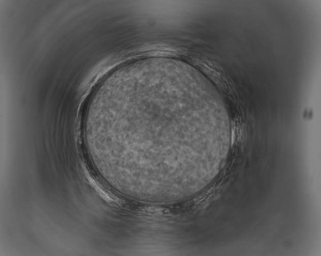X0000088870339200706291545