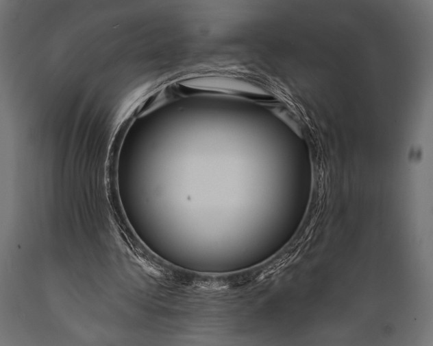 X0000088870340200706291545