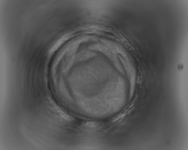 X0000088870341200706291545