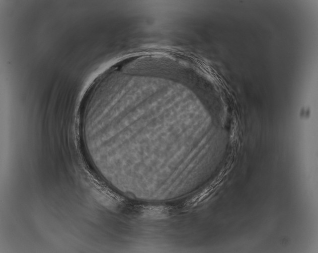 X0000088870342200706291545