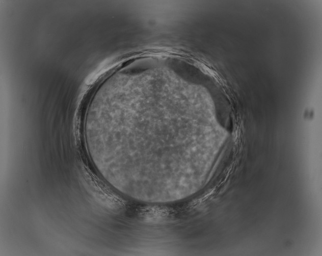 X0000088870343200706291545