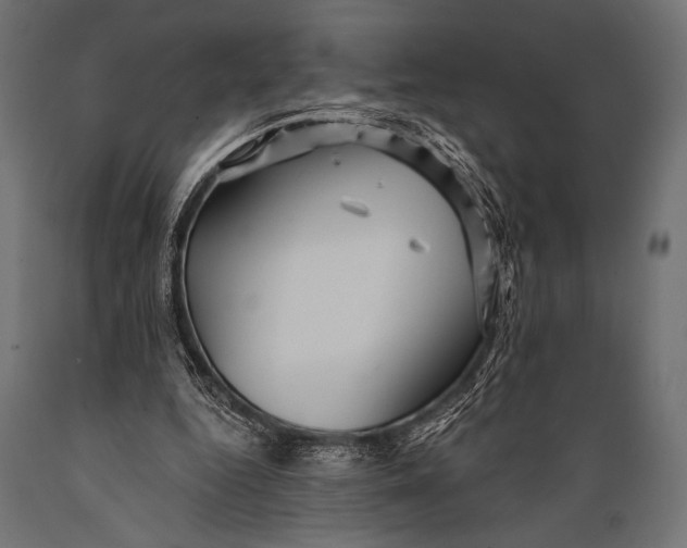 X0000088870344200706291545