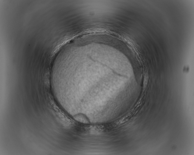 X0000088870345200706291545