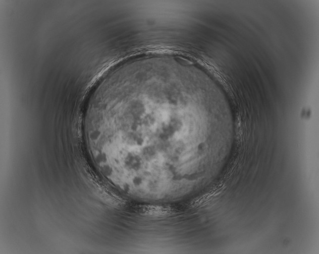 X0000088870347200706291545