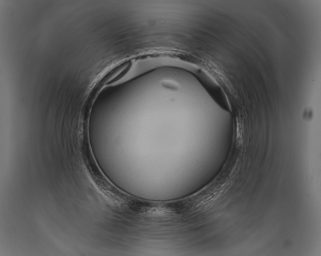 X0000088870348200706291545