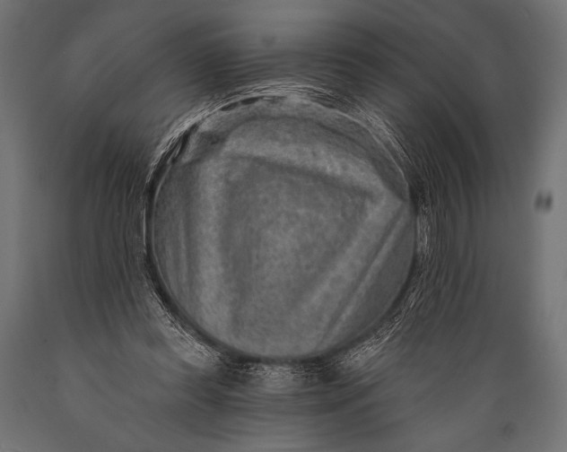 X0000088870349200706291545