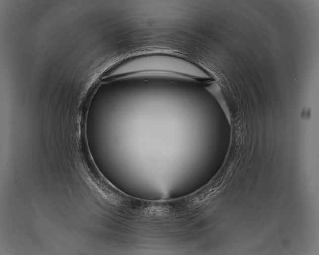 X0000088870350200706291545