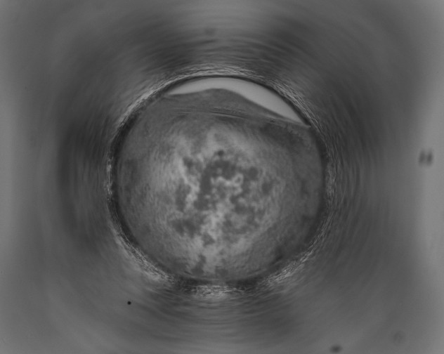 X0000088870351200706291545