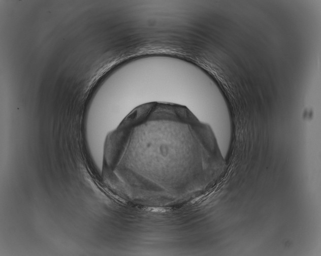 X0000088870352200706291545