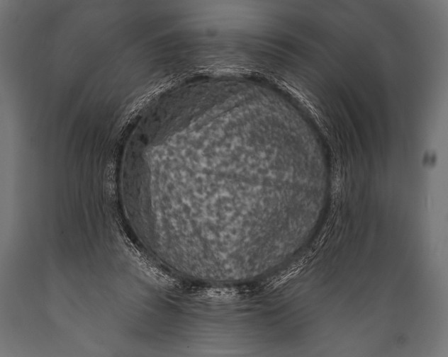 X0000088870353200706291545