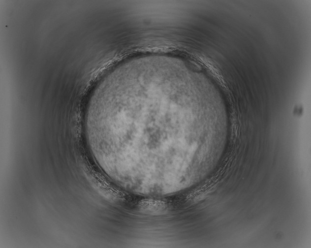 X0000088870354200706291545