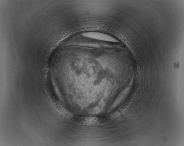 X0000088870355200706291545