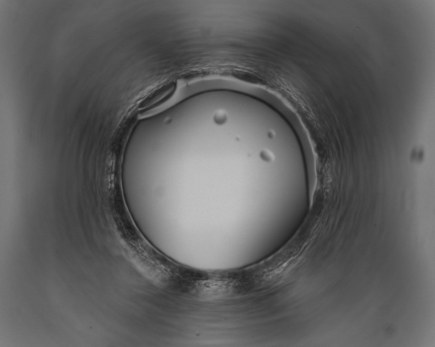 X0000088870356200706291545