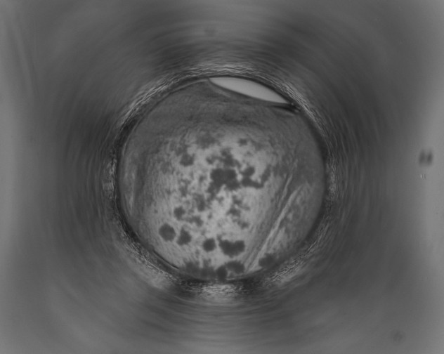 X0000088870357200706291545