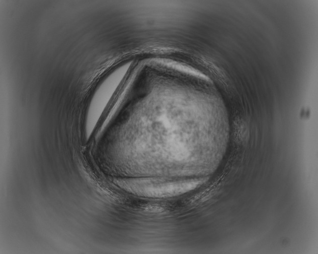 X0000088870358200706291545