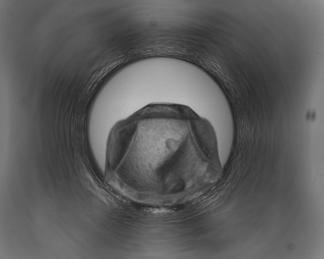X0000088870360200706291545