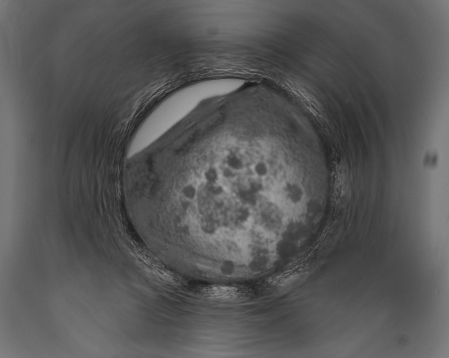 X0000088870361200706291545