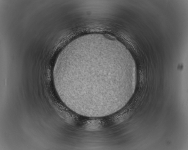 X0000088870362200706291545