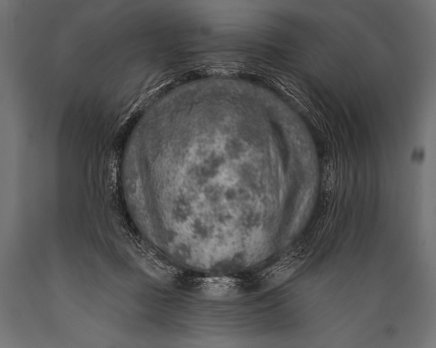 X0000088870363200706291545