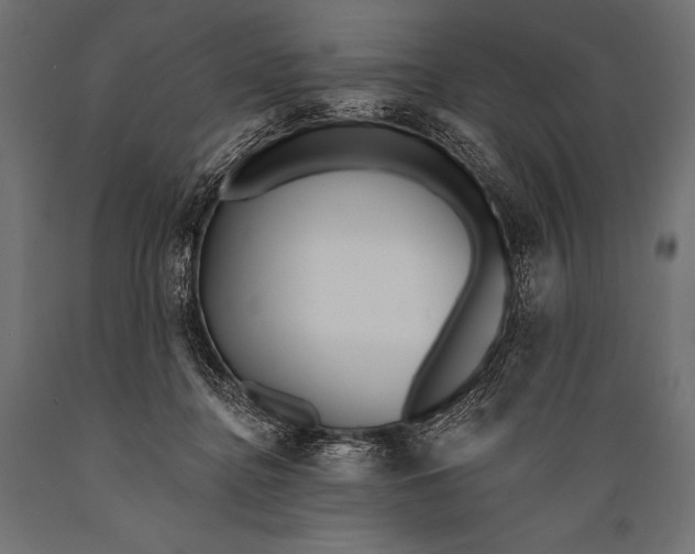 X0000088870364200706291545