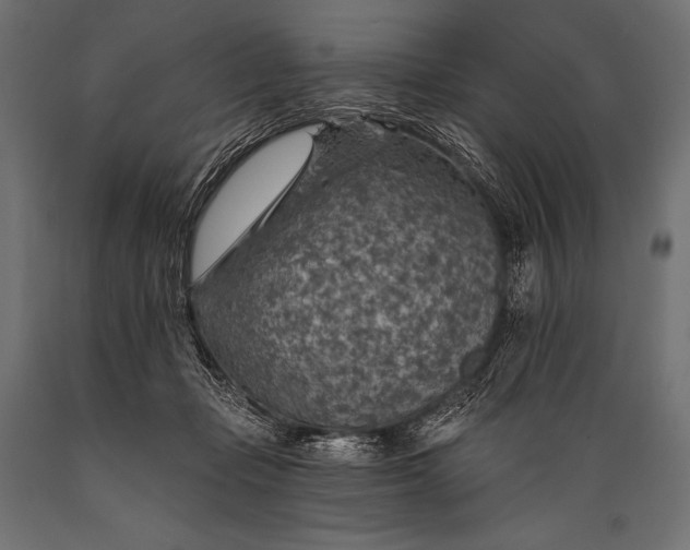 X0000088870365200706291545