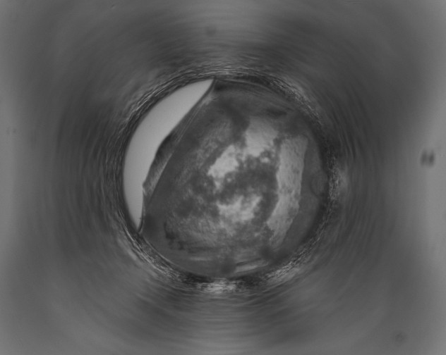 X0000088870366200706291545