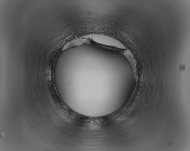 X0000088870368200706291546
