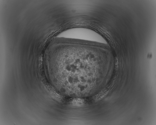 X0000088870369200706291546