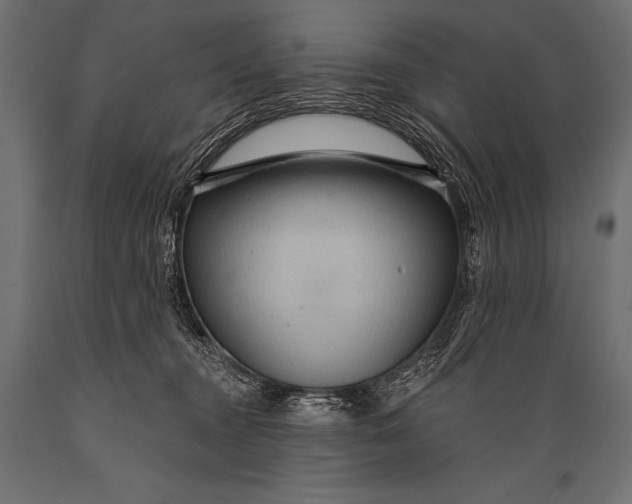 X0000088870372200706291546