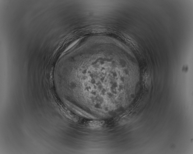 X0000088870373200706291546