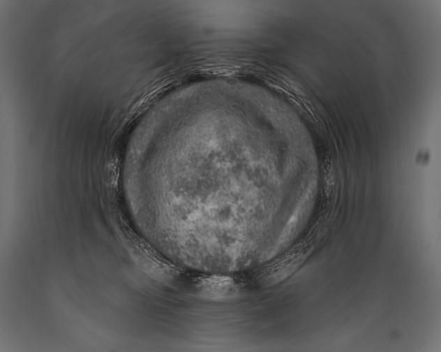 X0000088870374200706291546