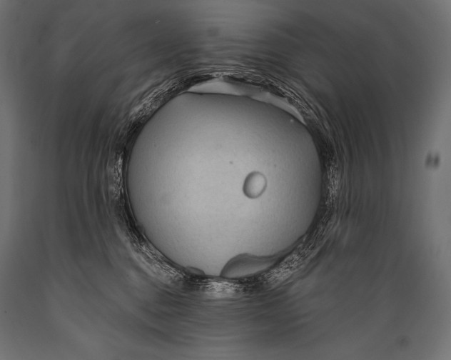 X0000088870376200706291546
