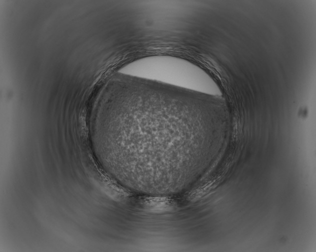 X0000088870377200706291546