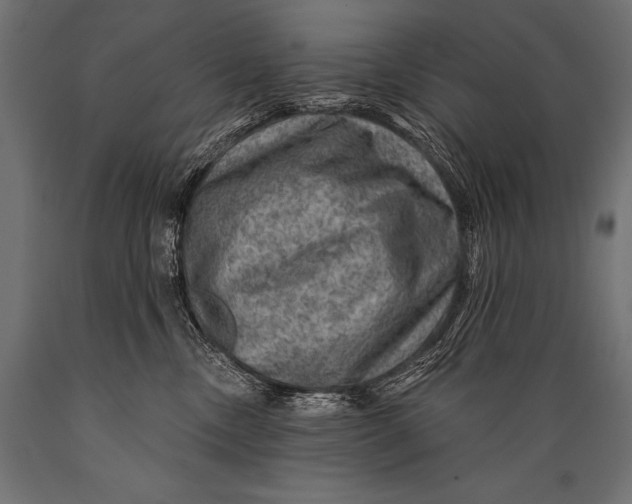 X0000088870378200706291546