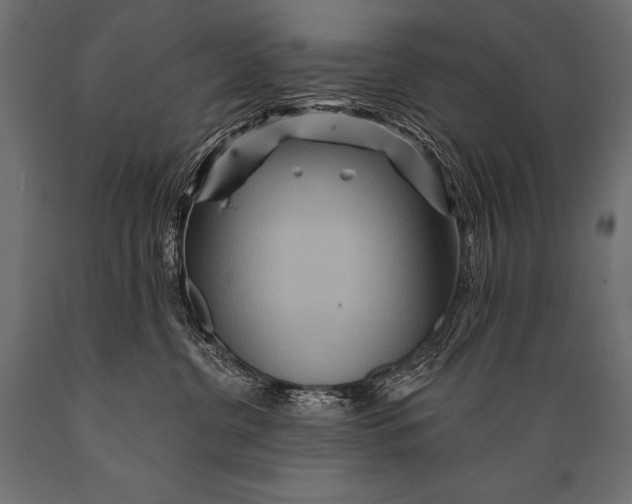 X0000088870380200706291546