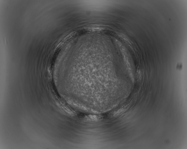 X0000088870381200706291546