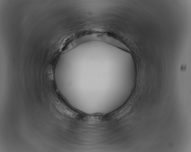 X0000088870384200706291546