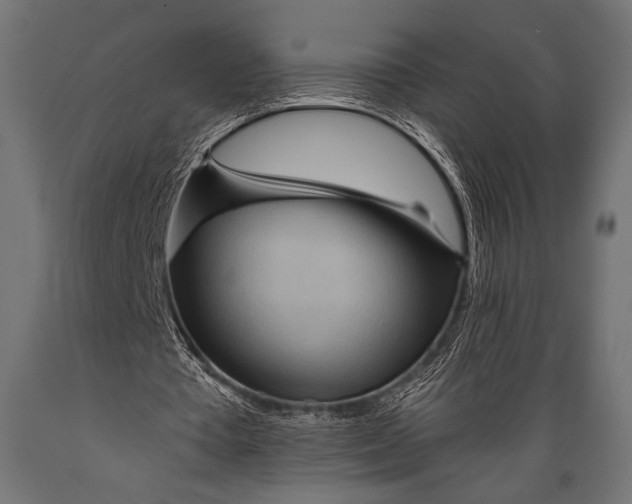 X0000088870385200706291545